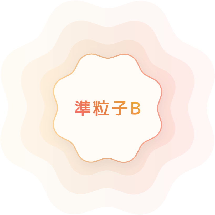 準粒子B